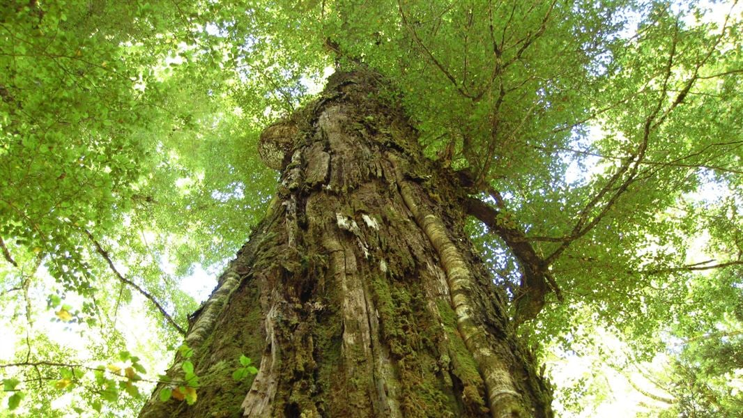 Sustainability